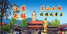 20p小穴江苏无锡灵山大佛旅游风景区